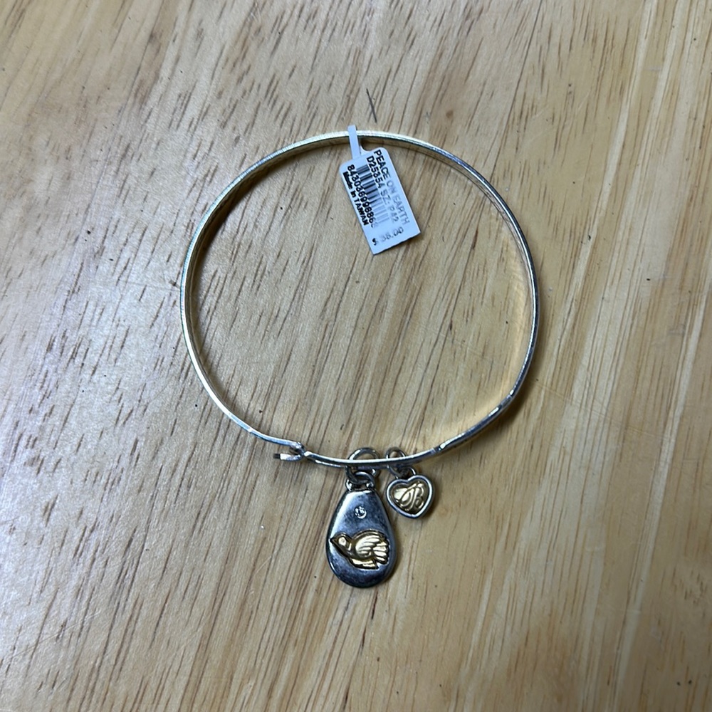 Brighton Art & Soul Peace on Earth Bangle BNWT